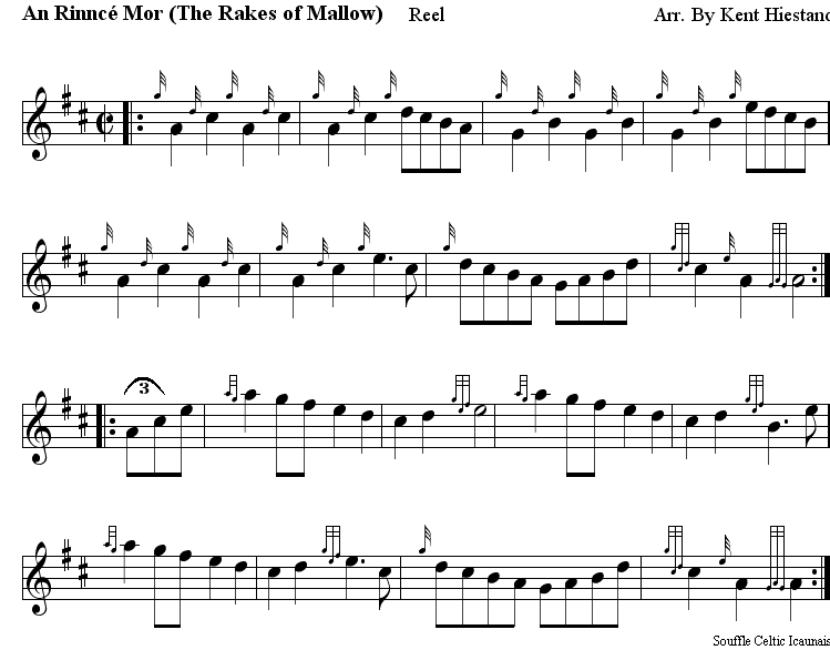 An Rinncé Mor (the Rakes of Mallow)